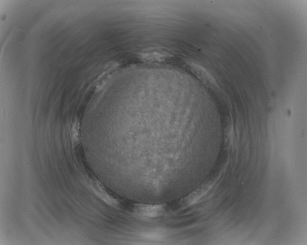 X0000080660081200612301346