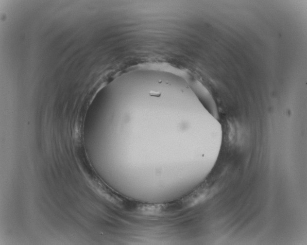 X0000080660084200612301346