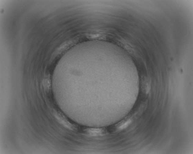 X0000080660085200612301346