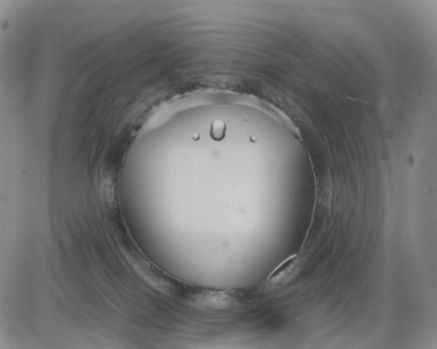 X0000080660086200612301346