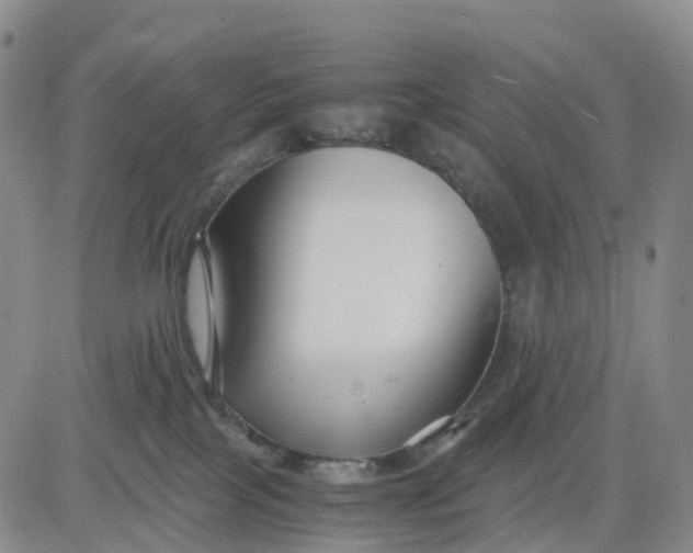 X0000080660089200612301346