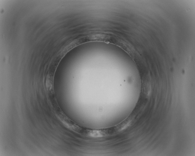 X0000080660091200612301346