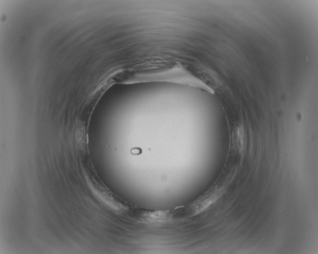 X0000080660092200612301346