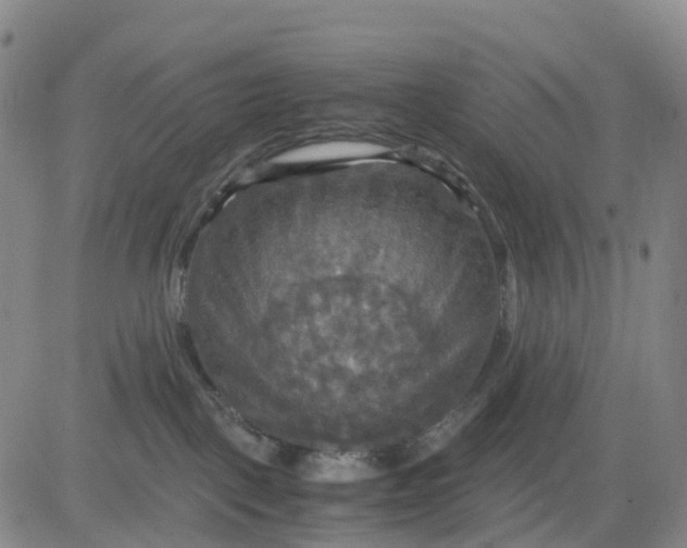 X0000080660093200612301346