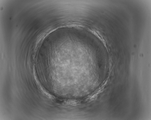 X0000080660097200612301345