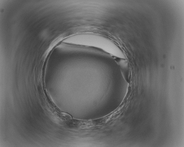 X0000080660099200612301345