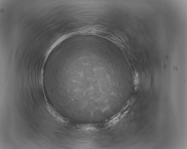 X0000080660100200612301345