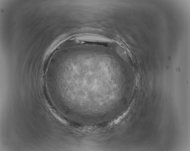 X0000080660101200612301345