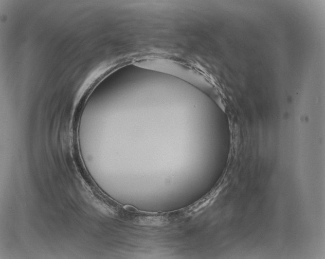 X0000080660102200612301345