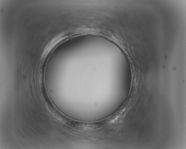 X0000080660103200612301345