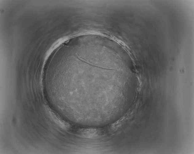 X0000080660104200612301345