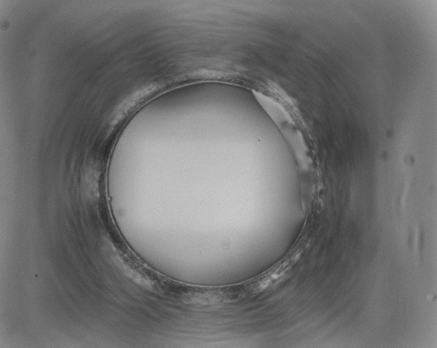 X0000080660106200612301345