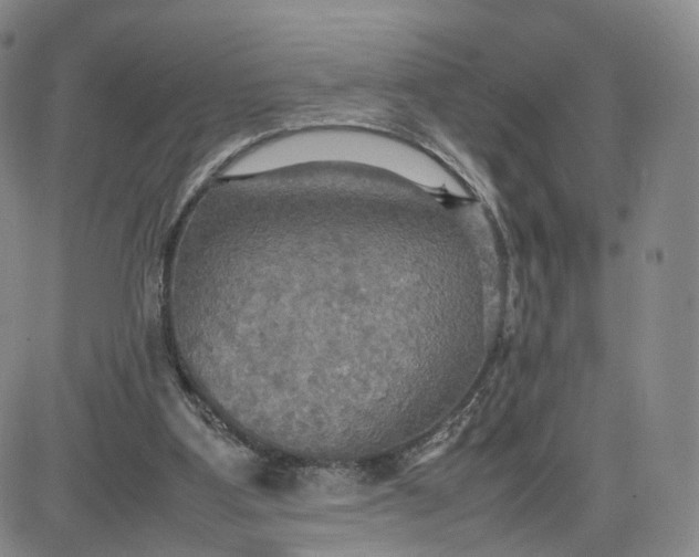 X0000080660107200612301345