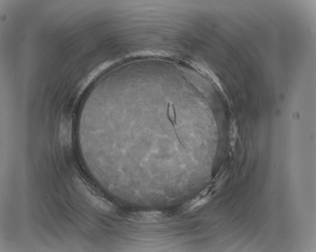 X0000080660108200612301345