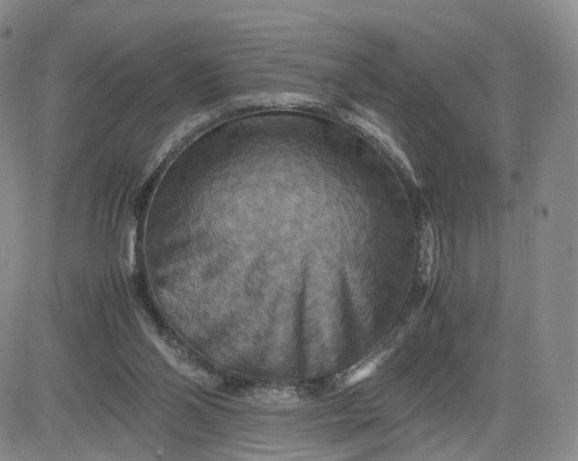 X0000080660110200612301345