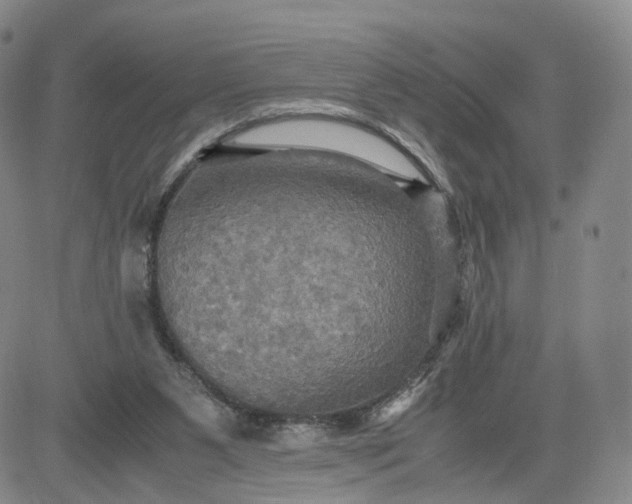 X0000080660111200612301345