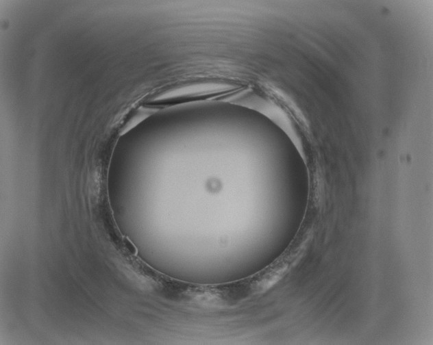 X0000080660113200612301345