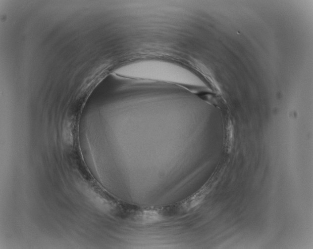 X0000080660114200612301345