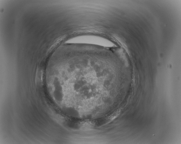 X0000080660115200612301345