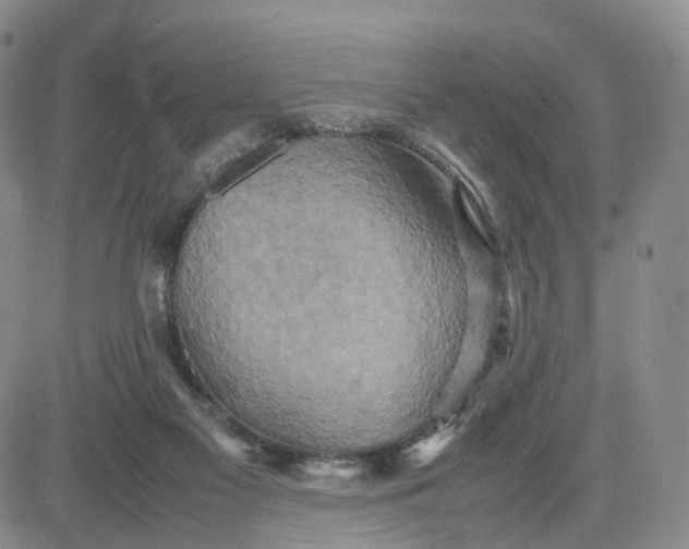 X0000080660117200612301345