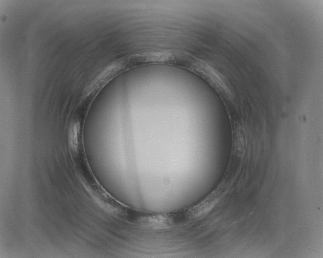 X0000080660118200612301345