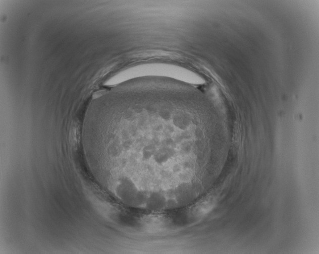 X0000080660119200612301345