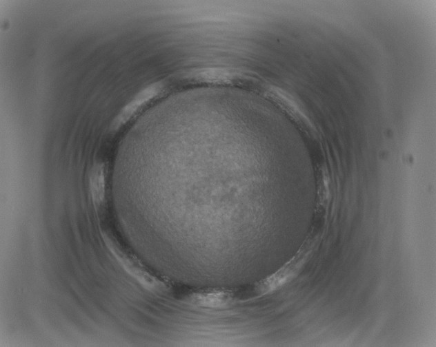 X0000080660120200612301345