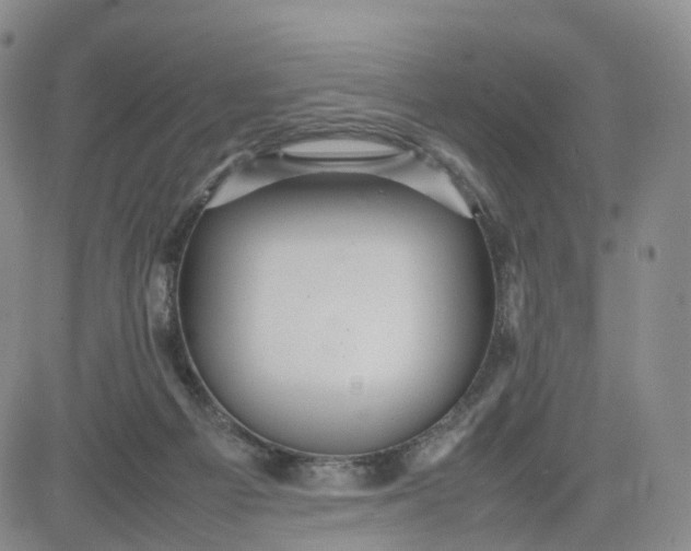 X0000080660121200612301345