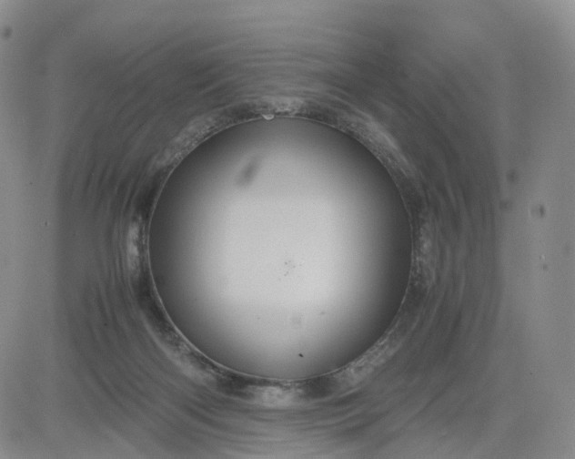 X0000080660122200612301345