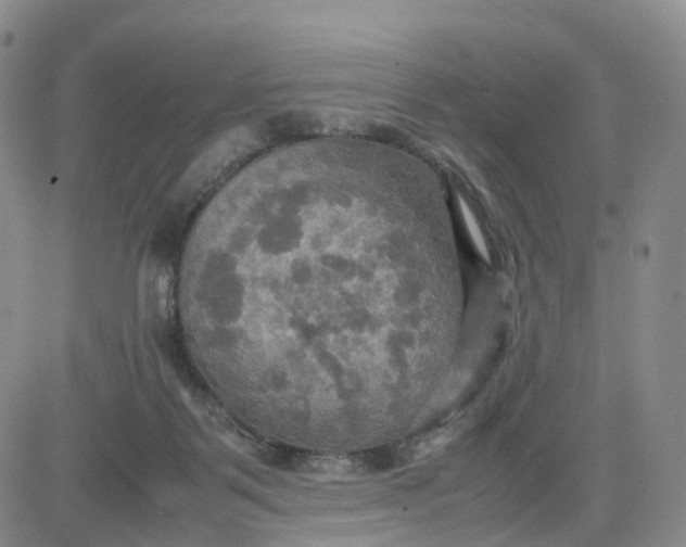 X0000080660123200612301345