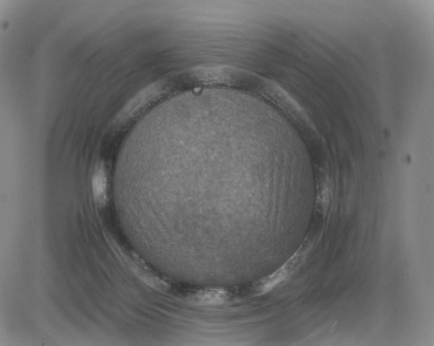 X0000080660124200612301345