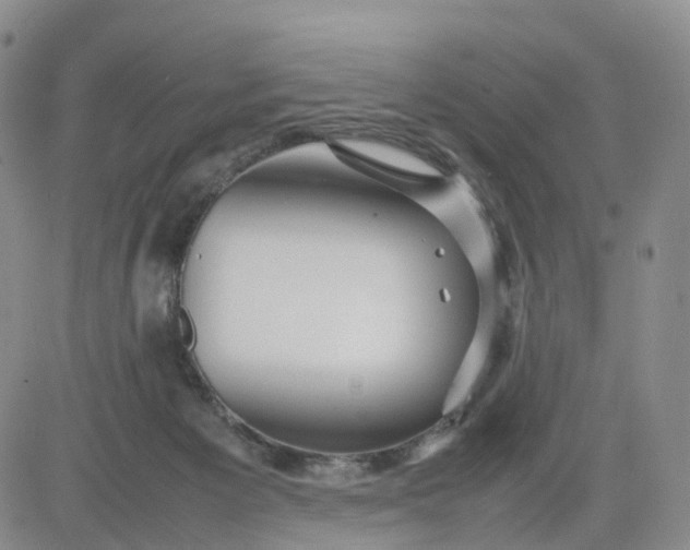 X0000080660125200612301345