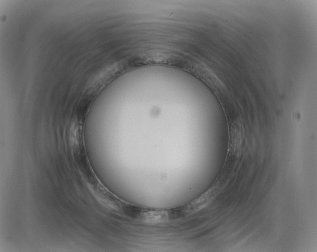 X0000080660126200612301345