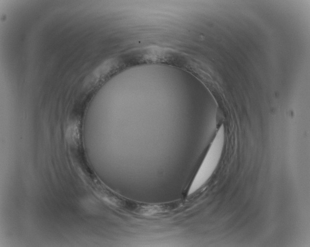 X0000080660127200612301345