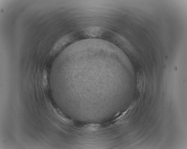 X0000080660128200612301345