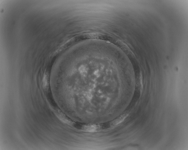 X0000080660131200612301345