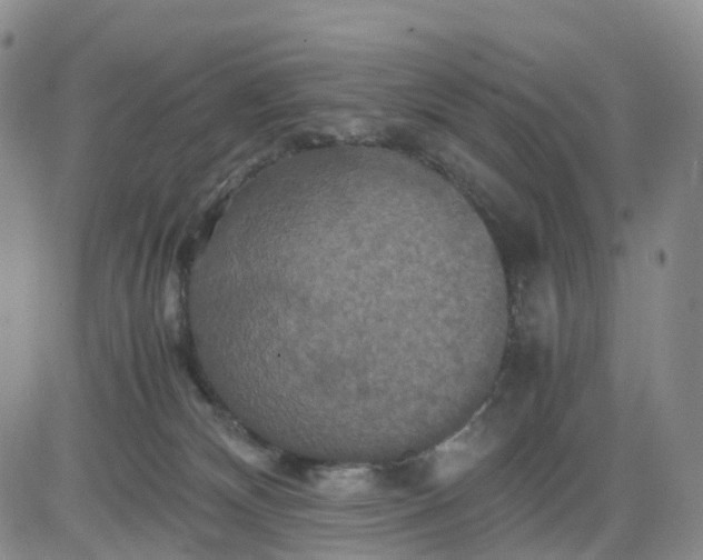 X0000080660132200612301345