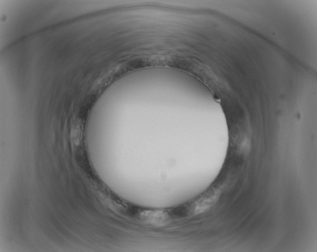 X0000080660133200612301345