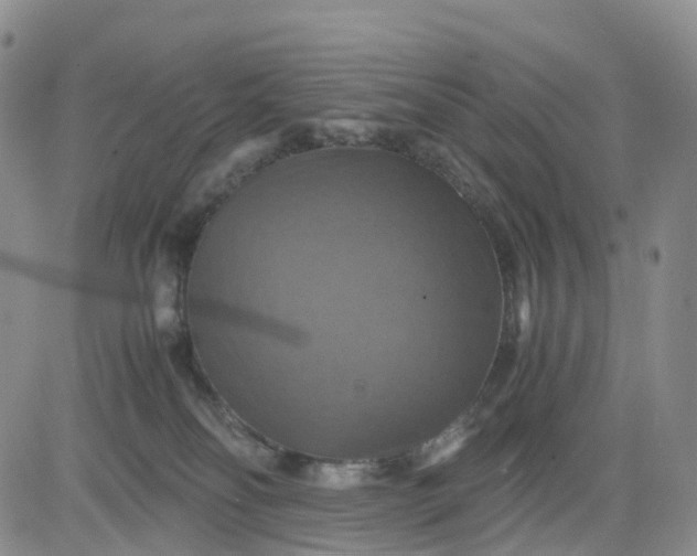 X0000080660134200612301345