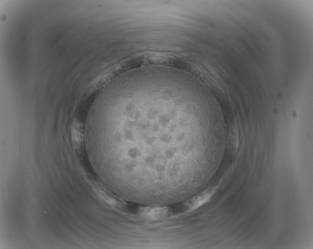 X0000080660135200612301344