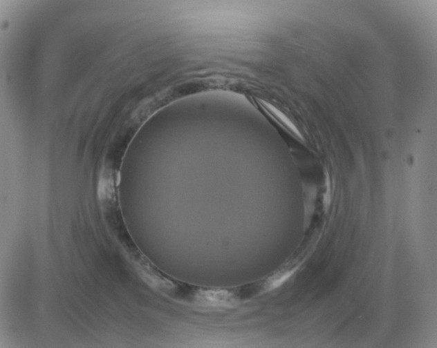 X0000080660137200612301344