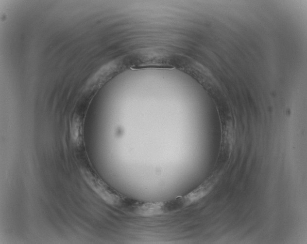 X0000080660138200612301344