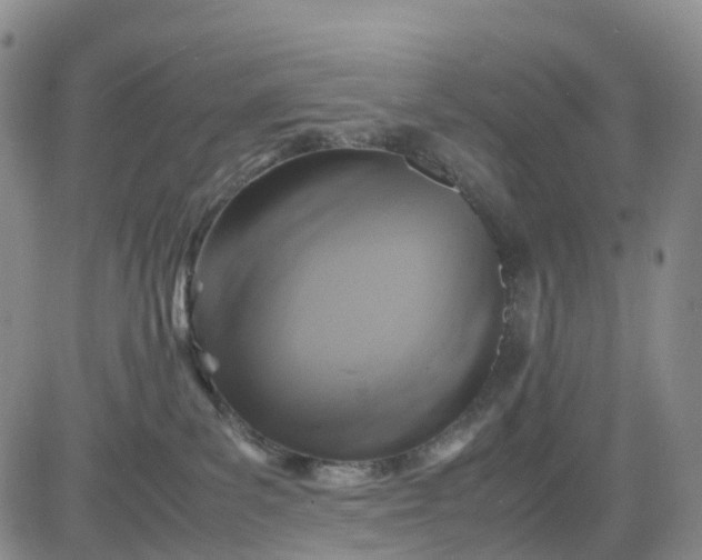 X0000080660139200612301344