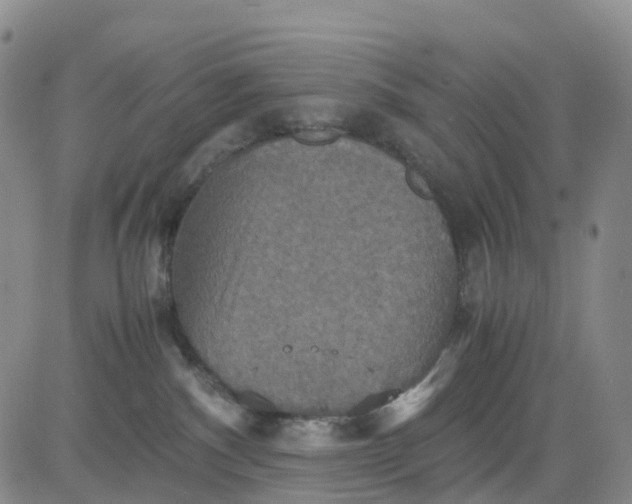 X0000080660140200612301344