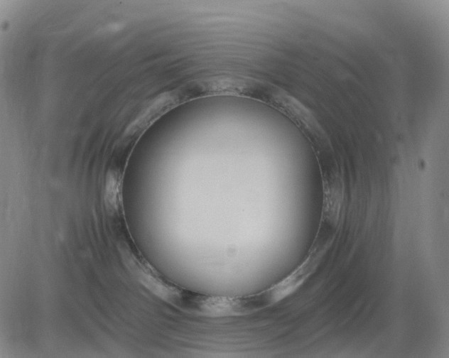 X0000080660142200612301344