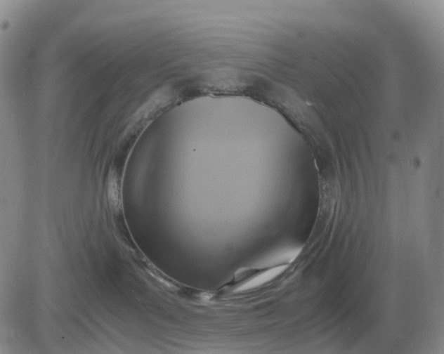 X0000080660143200612301344