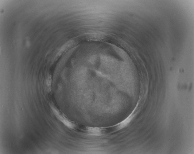 X0000080660144200612301344