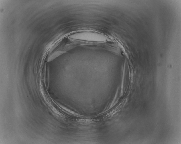 X0000080660145200612301344