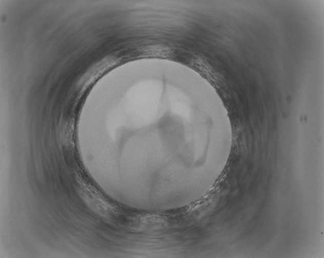 X0000080660146200612301344