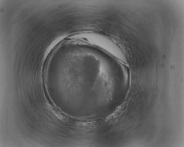 X0000080660147200612301344